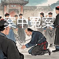 《案中冤案》