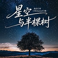 星空与半棵树