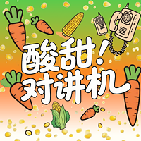 酸甜对讲机