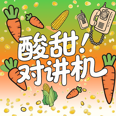 酸甜对讲机