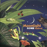 《夜的精灵》（附：夜的节目单）