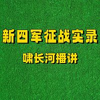新四军征战实录