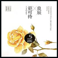 良辰讵可待