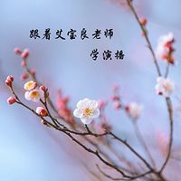 跟着艾宝良老师学演播