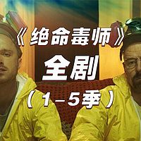 《绝命毒师》全剧剧情解说（1-5季）