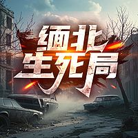缅北生死局