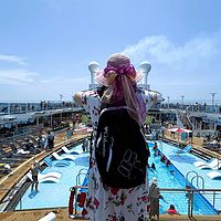 猫外婆退休生活日记