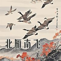 北雁南飞