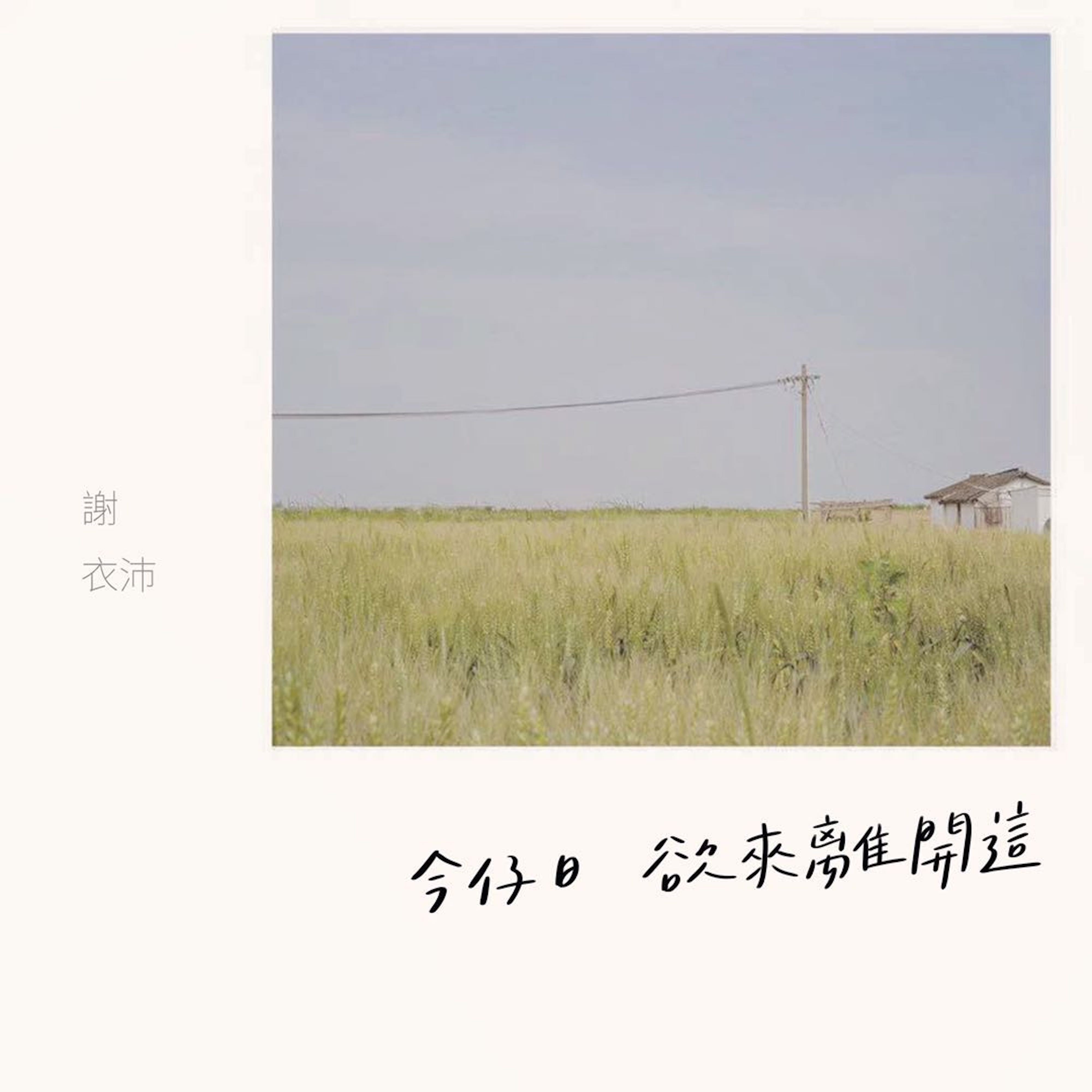 谢衣沛：今仔日欲来离开这