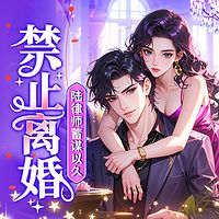 禁止离婚！陆律师蓄谋已久