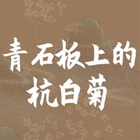 青石板上的杭白菊