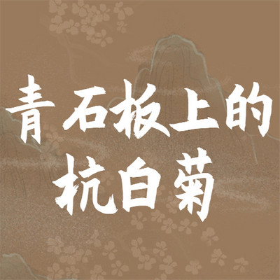 青石板上的杭白菊