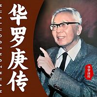 华罗庚|中国现代数学之父|中国解析数论创始人|传记