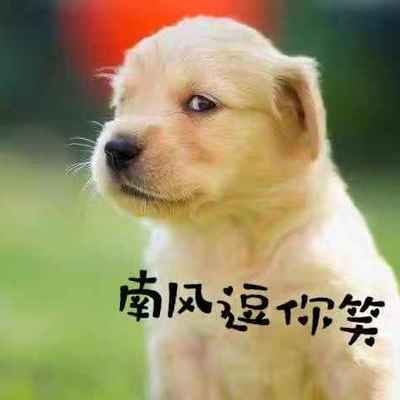 南风逗你笑