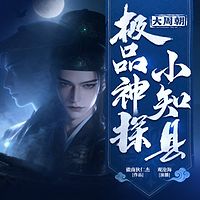 大周朝极品神探小知县