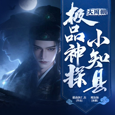 大周朝极品神探小知县