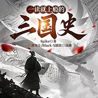 一读就上瘾的三国史