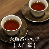 六堡茶小知识【入门篇】