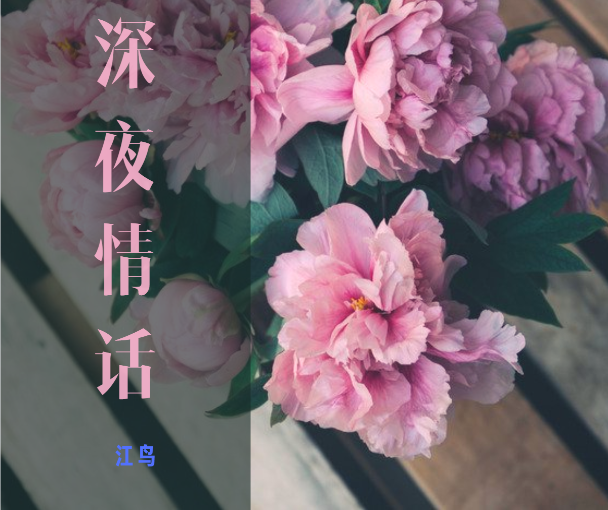 深夜情话