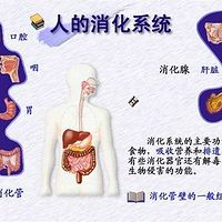 消化系统药物科普