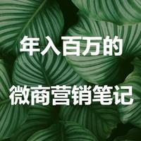 年入百万的微商营销笔记