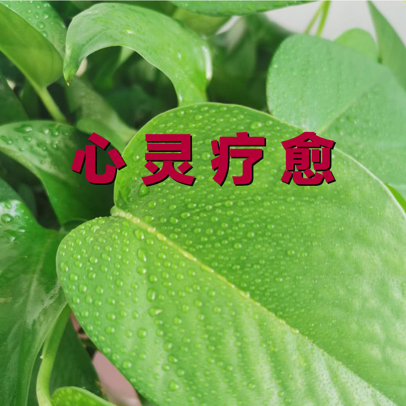 心灵治疗