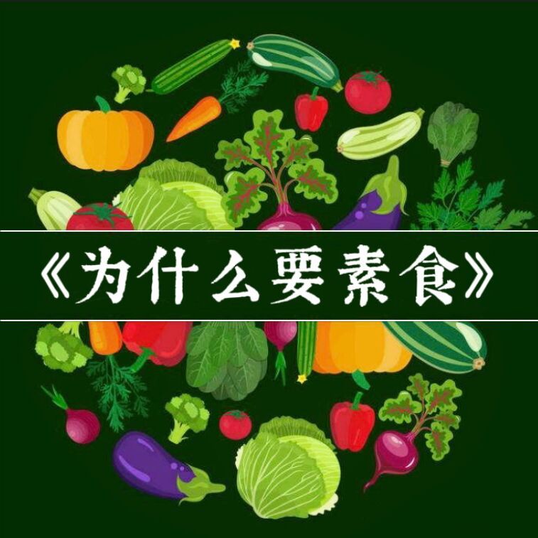 《为什么要素食》