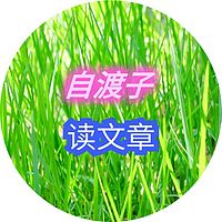 8-自渡子读文章_自渡子_礼堂版