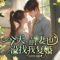 今天，前妻也没找我复婚|追妻豪门甜宠复仇