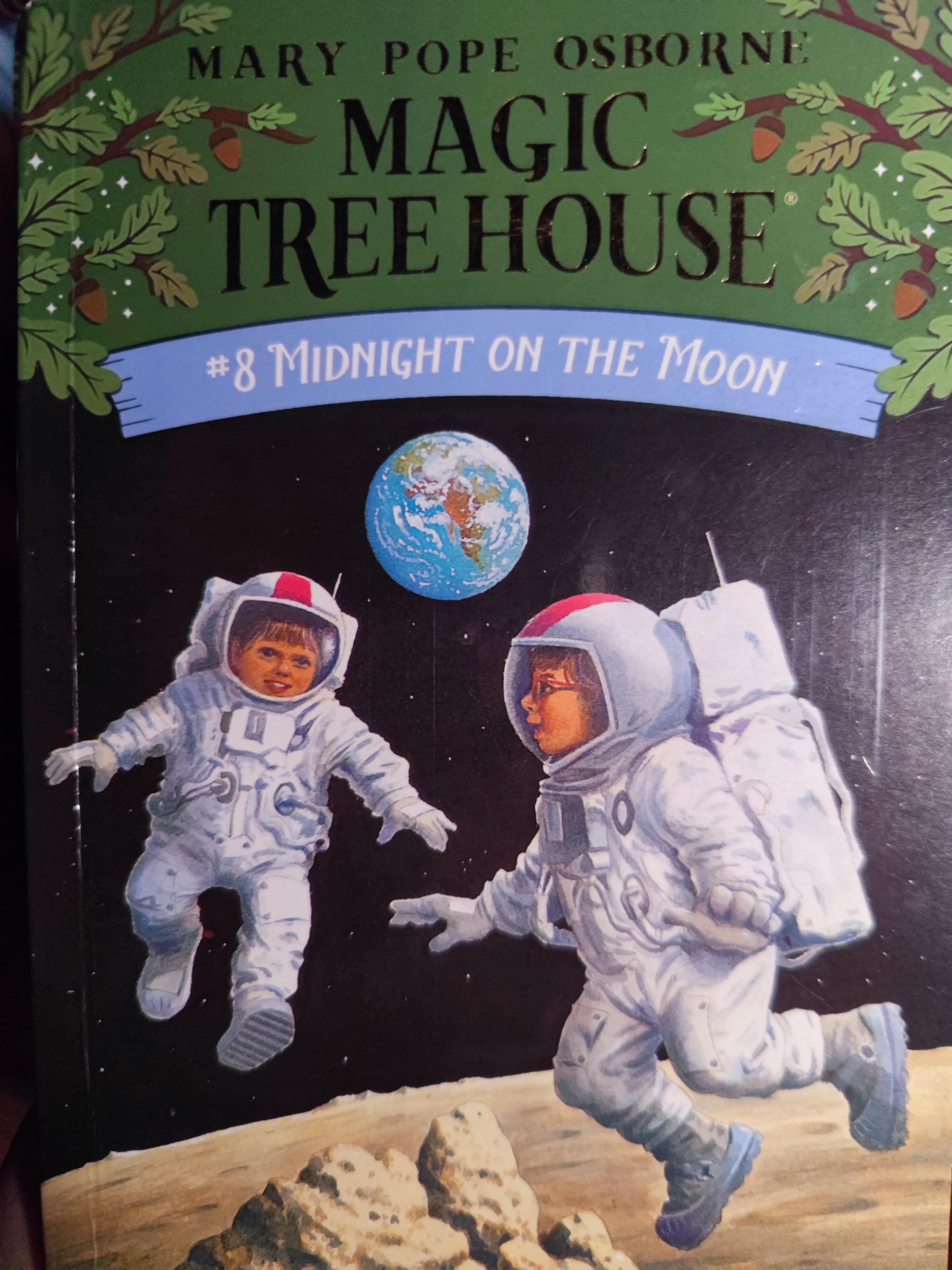 Magic Tree House#8