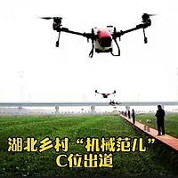 2022湖北三农观察