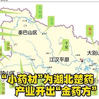 “小药材”为湖北楚药产业开出“金药方”