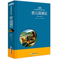 苦儿流浪记