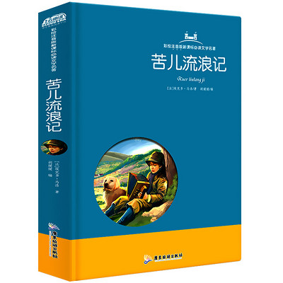 苦儿流浪记