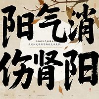 中医养肾指南