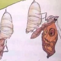 妈妈读——童话故事系列