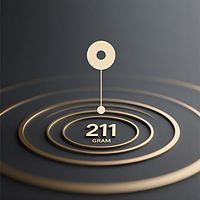 211克电台