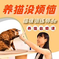 养猫没烦恼（猫咪训练师的养猫必修课）