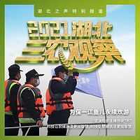 2020湖北三农观察