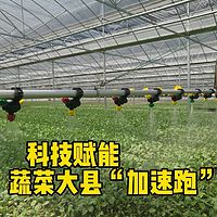 探寻湖北蔬菜黑科技