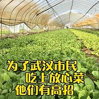 探寻湖北蔬菜黑科技