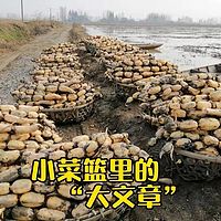 2021湖北三农观察