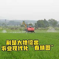 2022湖北三农观察