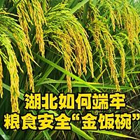 湖北如何端牢粮食安全“金饭碗”