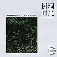 树洞时光