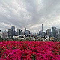 政经文史观