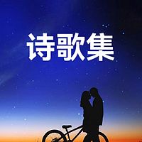 诗歌集