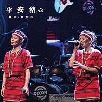 赞薇|曾宇辰：平安猪