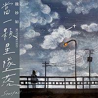 魏妙如：当一颗星坠落