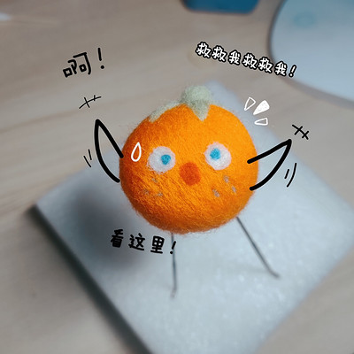 写给岁月的序曲